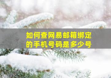 如何查网易邮箱绑定的手机号码是多少号