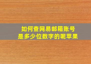 如何查网易邮箱账号是多少位数字的呢苹果