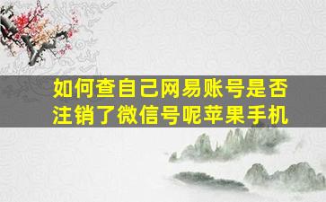 如何查自己网易账号是否注销了微信号呢苹果手机