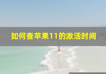 如何查苹果11的激活时间