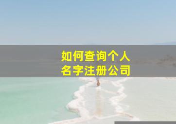 如何查询个人名字注册公司