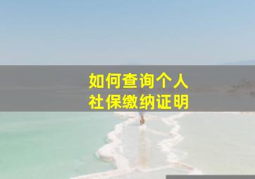 如何查询个人社保缴纳证明