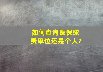 如何查询医保缴费单位还是个人?