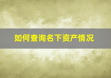 如何查询名下资产情况