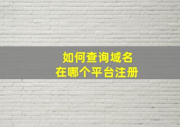 如何查询域名在哪个平台注册