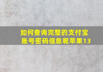 如何查询完整的支付宝账号密码信息呢苹果13