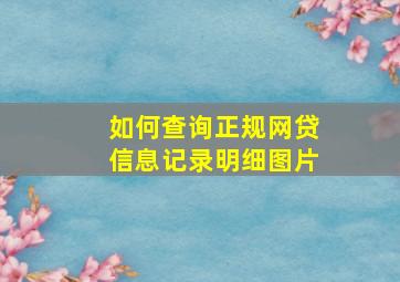 如何查询正规网贷信息记录明细图片