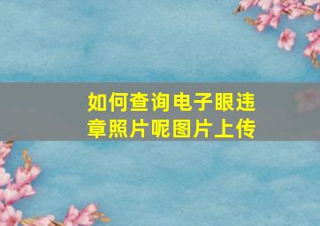 如何查询电子眼违章照片呢图片上传