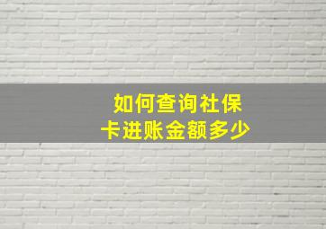 如何查询社保卡进账金额多少