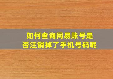 如何查询网易账号是否注销掉了手机号码呢