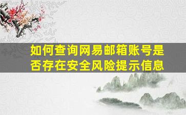 如何查询网易邮箱账号是否存在安全风险提示信息