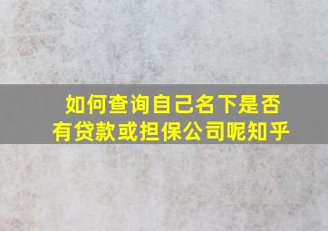 如何查询自己名下是否有贷款或担保公司呢知乎