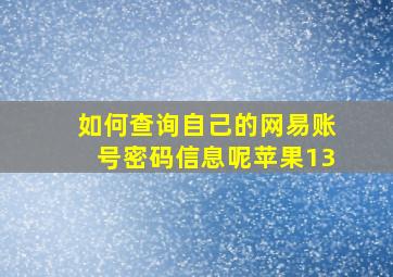 如何查询自己的网易账号密码信息呢苹果13