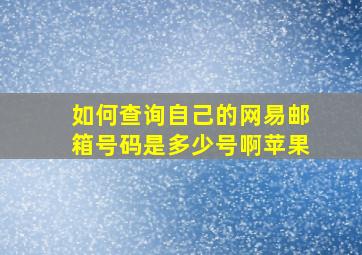 如何查询自己的网易邮箱号码是多少号啊苹果