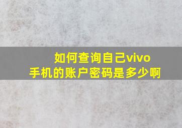 如何查询自己vivo手机的账户密码是多少啊