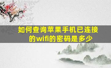 如何查询苹果手机已连接的wifi的密码是多少