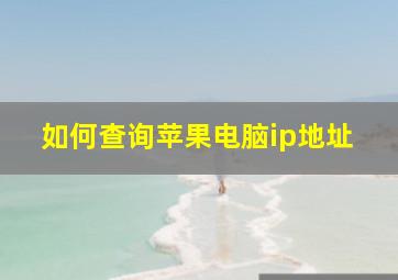 如何查询苹果电脑ip地址