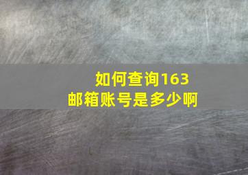 如何查询163邮箱账号是多少啊