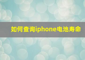 如何查询iphone电池寿命