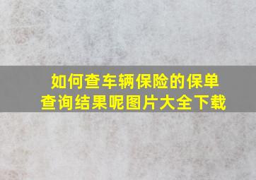 如何查车辆保险的保单查询结果呢图片大全下载