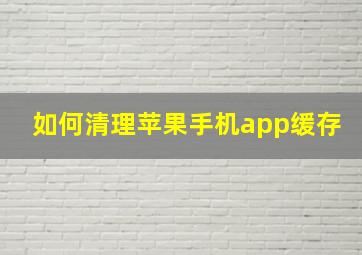 如何清理苹果手机app缓存