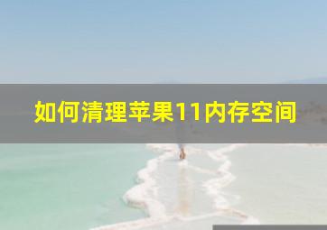 如何清理苹果11内存空间