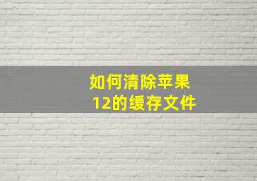 如何清除苹果12的缓存文件