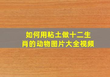 如何用粘土做十二生肖的动物图片大全视频