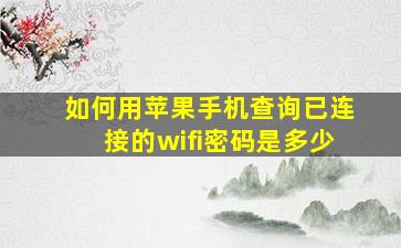 如何用苹果手机查询已连接的wifi密码是多少