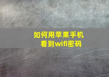 如何用苹果手机看到wifi密码