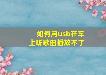 如何用usb在车上听歌曲播放不了