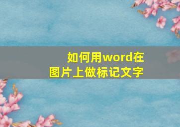 如何用word在图片上做标记文字