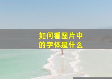 如何看图片中的字体是什么