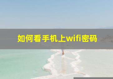 如何看手机上wifi密码