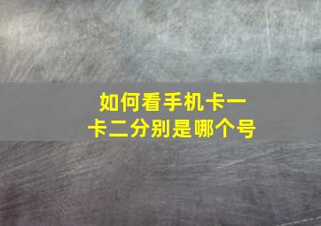 如何看手机卡一卡二分别是哪个号