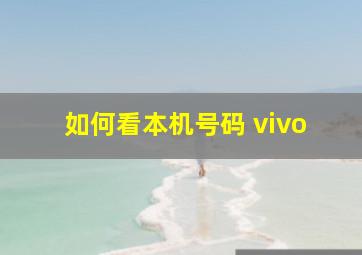 如何看本机号码 vivo