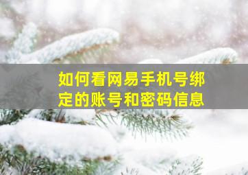 如何看网易手机号绑定的账号和密码信息