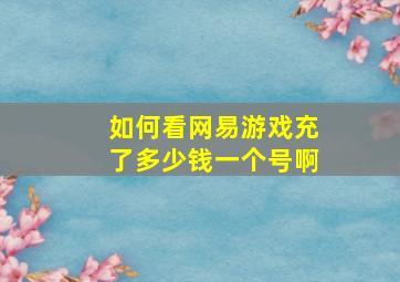 如何看网易游戏充了多少钱一个号啊