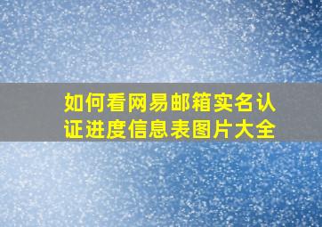 如何看网易邮箱实名认证进度信息表图片大全