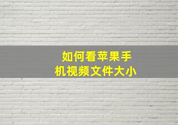 如何看苹果手机视频文件大小