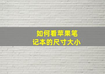 如何看苹果笔记本的尺寸大小