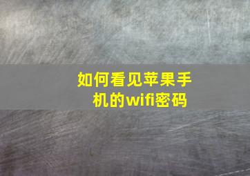 如何看见苹果手机的wifi密码