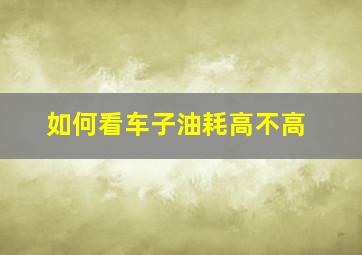 如何看车子油耗高不高