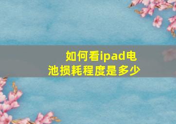 如何看ipad电池损耗程度是多少