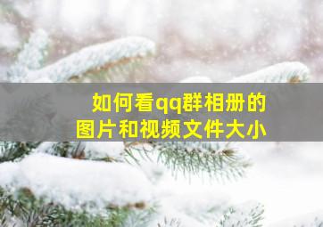 如何看qq群相册的图片和视频文件大小