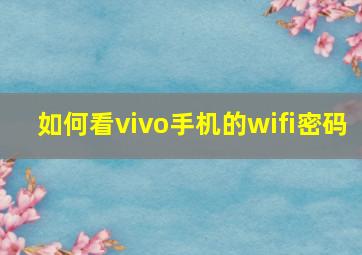 如何看vivo手机的wifi密码