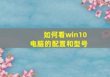 如何看win10电脑的配置和型号