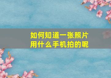 如何知道一张照片用什么手机拍的呢