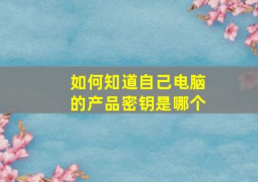 如何知道自己电脑的产品密钥是哪个