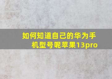 如何知道自己的华为手机型号呢苹果13pro